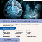25905 BioVendor advert CLI neural tissue damage markers