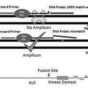 C264 Goswami Figure 1 BW