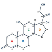 C350 Treasure figure 1 cortisol structure crop