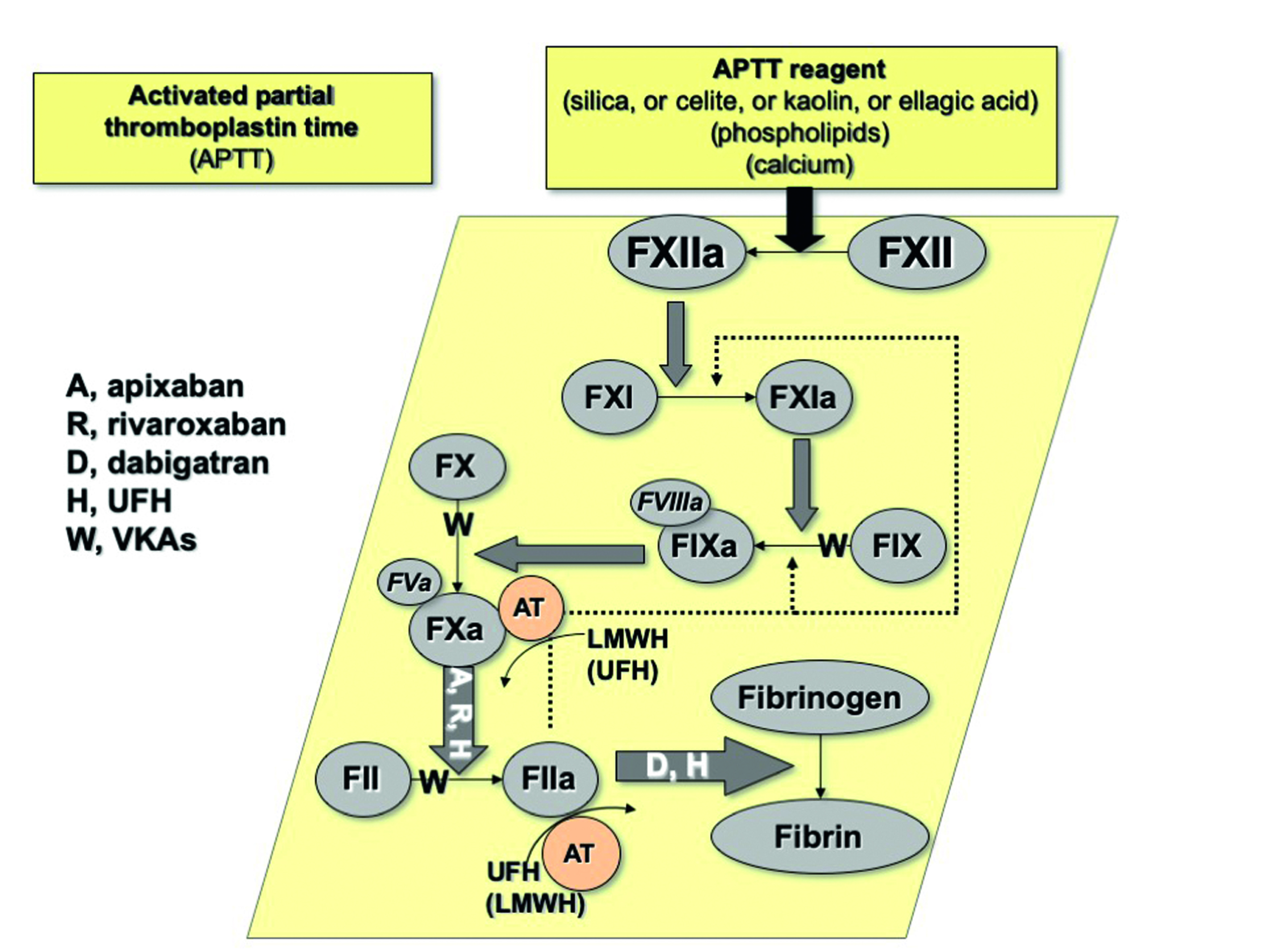 Activated Partial Thromboplastin Time An Overview 50 OFF