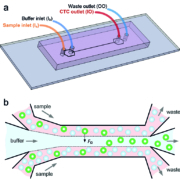 C382 Microfluidics Cancer Cell Separation diagram