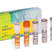 Bio-Rad Laboratories has launched its Reliance SARS-CoV-2 RT-PCR Kit (IVD) for European markets