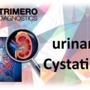 Trimers urinary Cystatin C