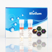 Biotium evaruby