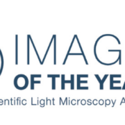 Olympus EVIDENT Global Image of the Year contest