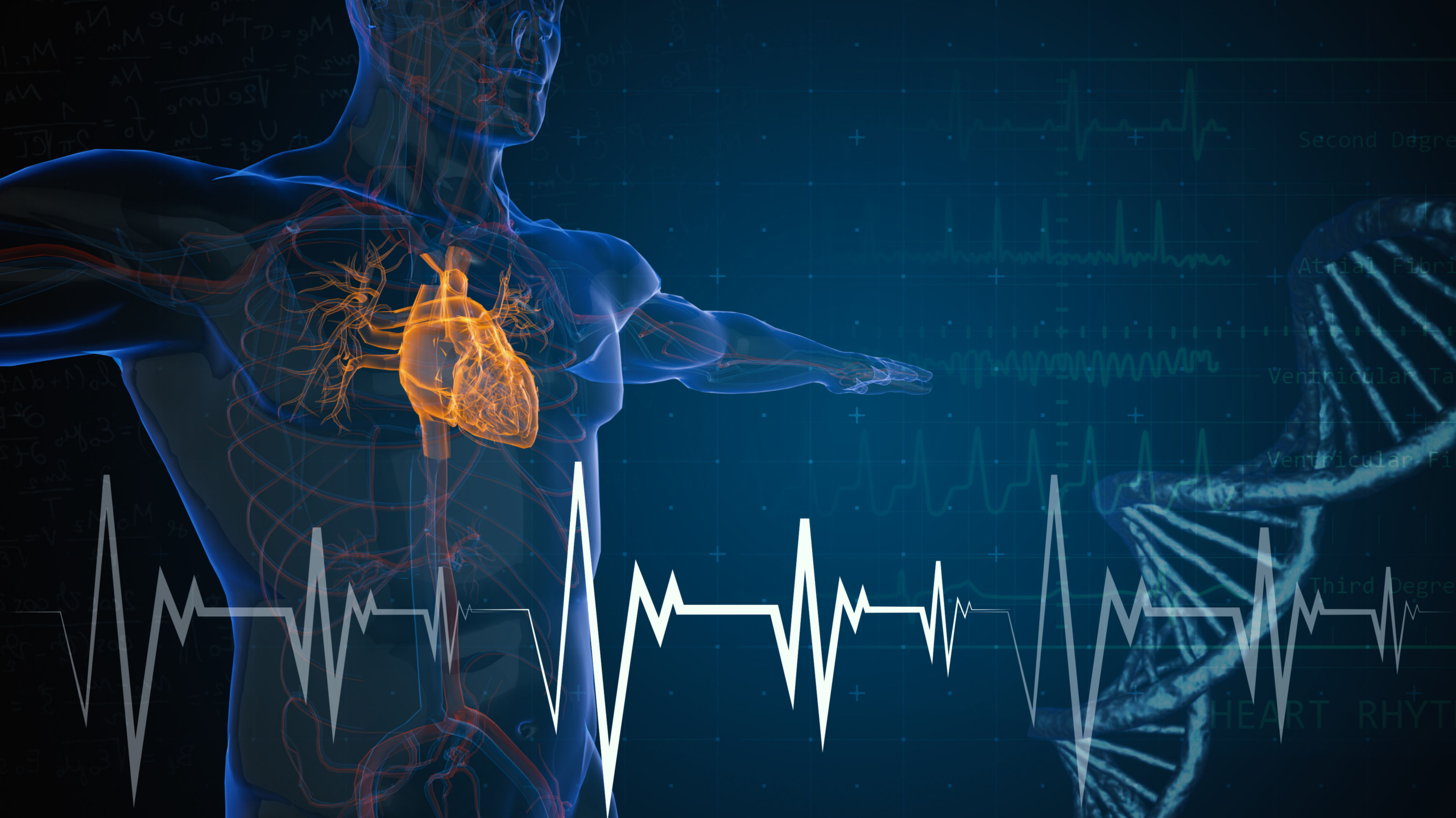 Secretoneurin: A Potential Complementary Cardiovascular Biomarker ...