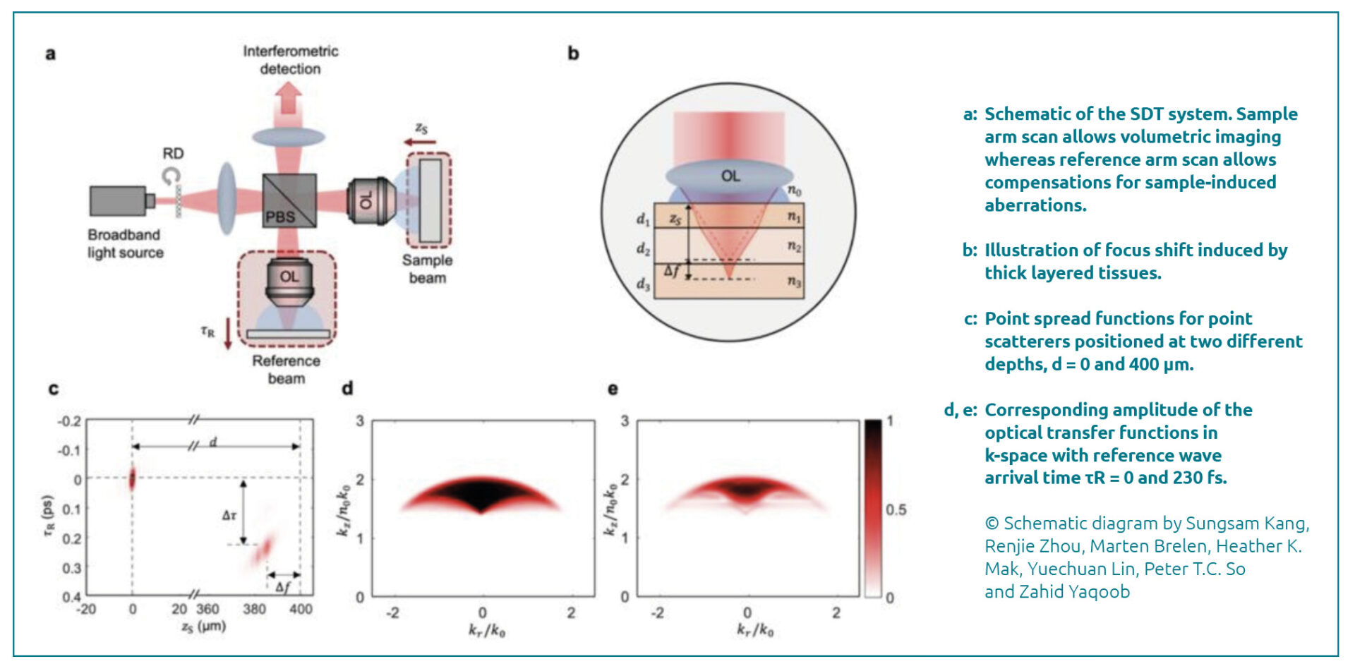 Diffractive Identification Feature Imaging breakthrough: speckle diffraction tomography reveals nanoscale ...