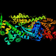 Cube biotech protein