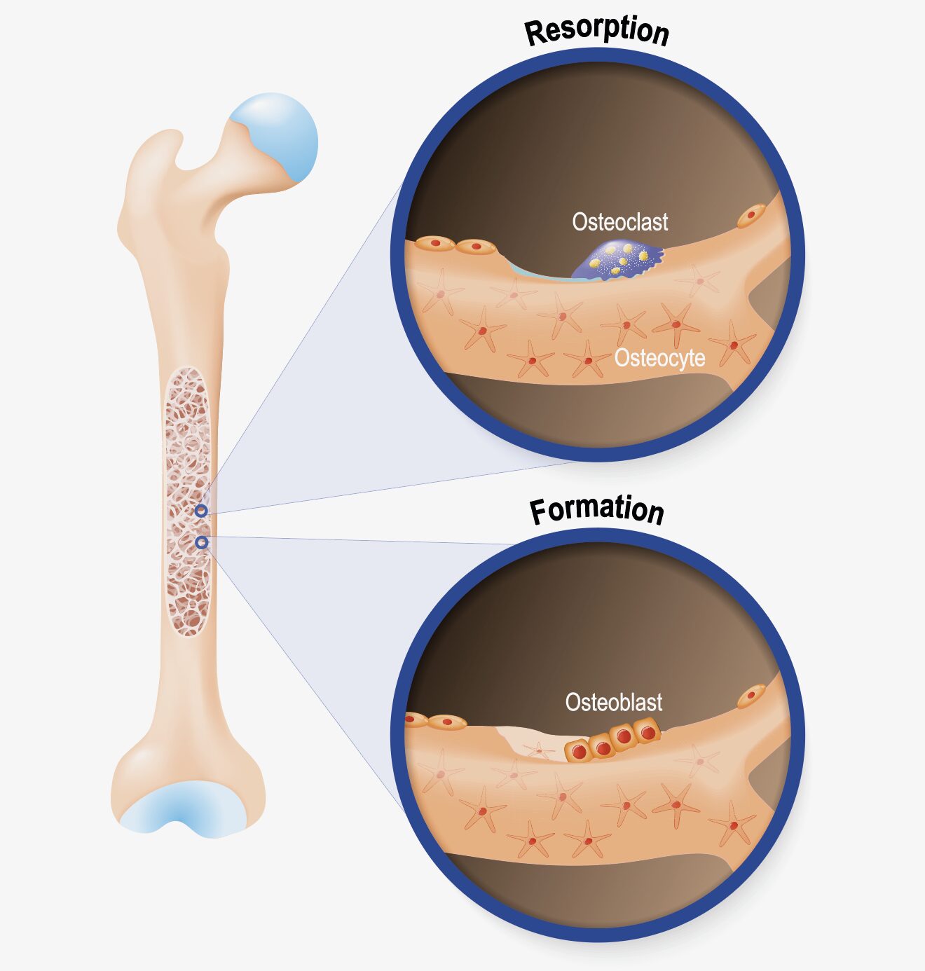 Scherm­afbeelding 2025 04 23 om 11.34.04