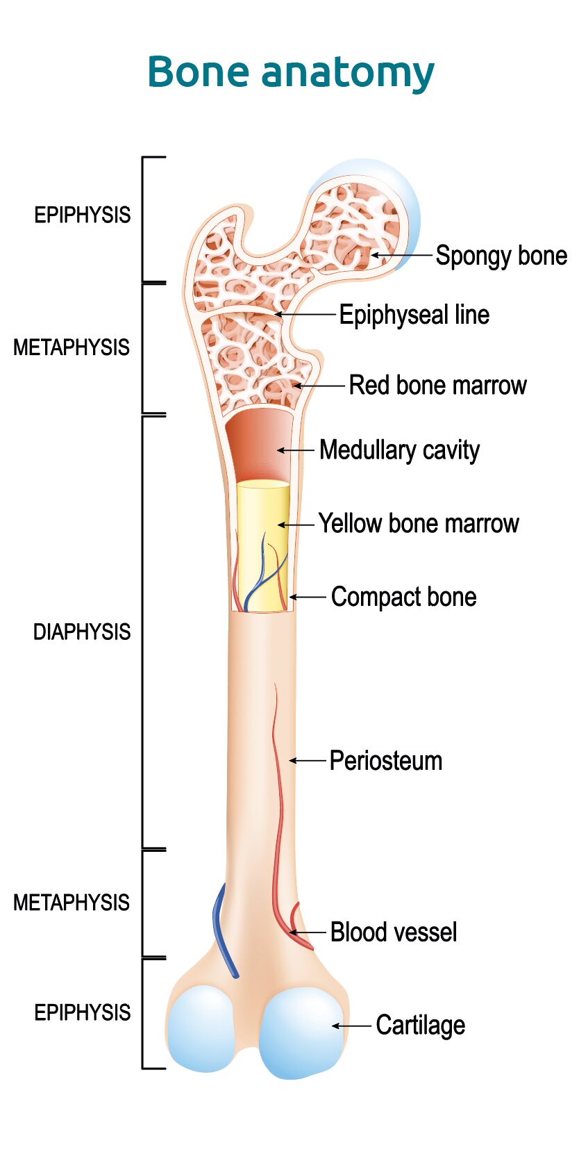 Scherm­afbeelding 2025 04 23 om 11.34.52