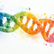 TQ Therapeutics secures strategic acquisition to accelerate automated cell therapy breakthrough 3 AdobeStock 1127000356