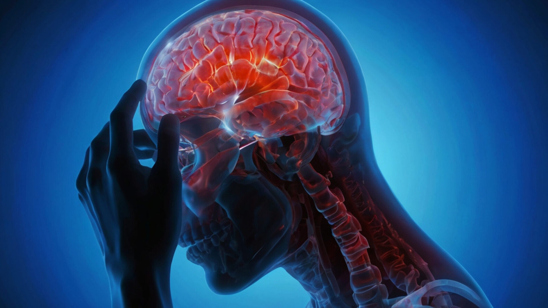 AdobeStock 1535491428