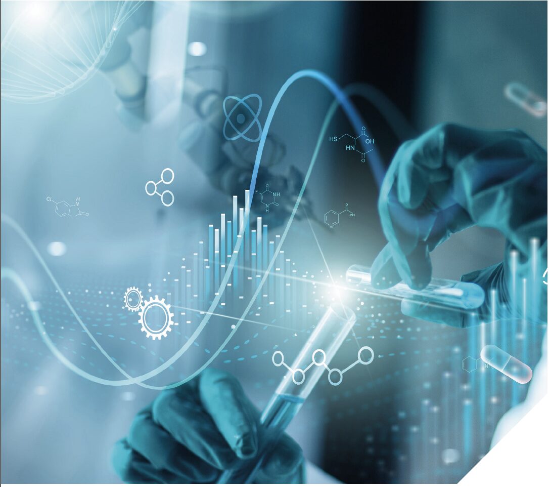 Scherm­afbeelding 2025 06 25 om 10.31.47