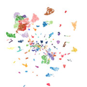 AI model detects more than 170 types of cancer with remarkable precision 1 tumor diagnostics