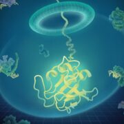 Chinese Academy of Sciences unveils AiCE, a groundbreaking AI-informed protein engineering method that enhances protein evolution with 36-90% improved accuracy.