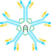 Creative Diagnostics IgM