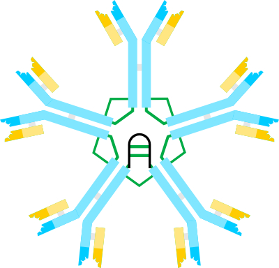 Creative Diagnostics IgM