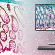 Leica Biosystems ChromoPlex III