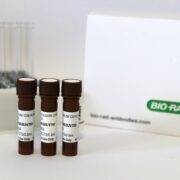 Spectral dye SBUK700a