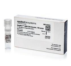 Thermo Fisher MagMAX HMW DNA kit