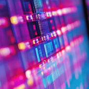 AdobeStock 1556380211