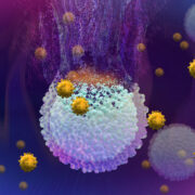 AdobeStock 301648256