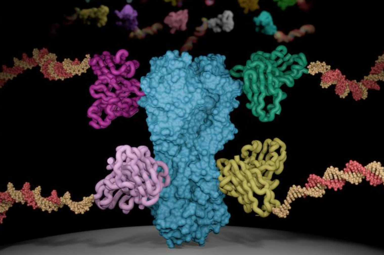 Screenshot Antibodies