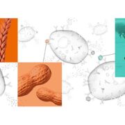 siemens peanut allergy