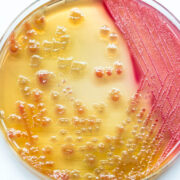 AdobeStock 117491077