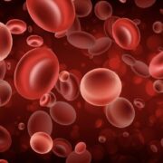 Scherm­afbeelding 2025 10 27 om 12.07.13