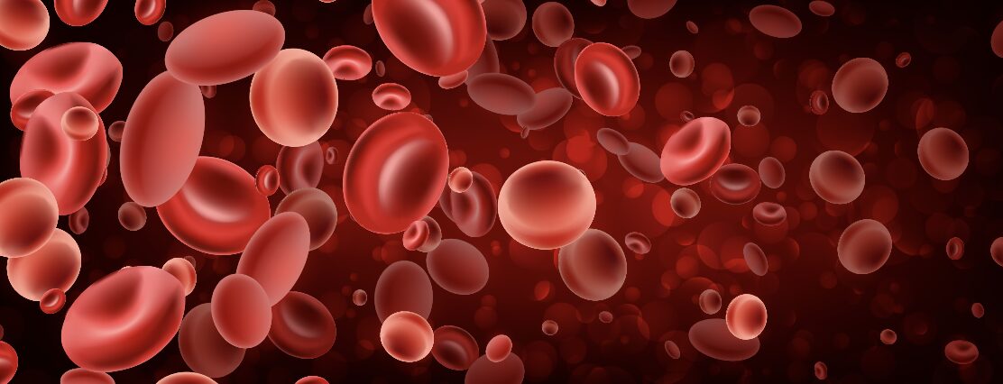 Scherm­afbeelding 2025 10 27 om 12.07.13