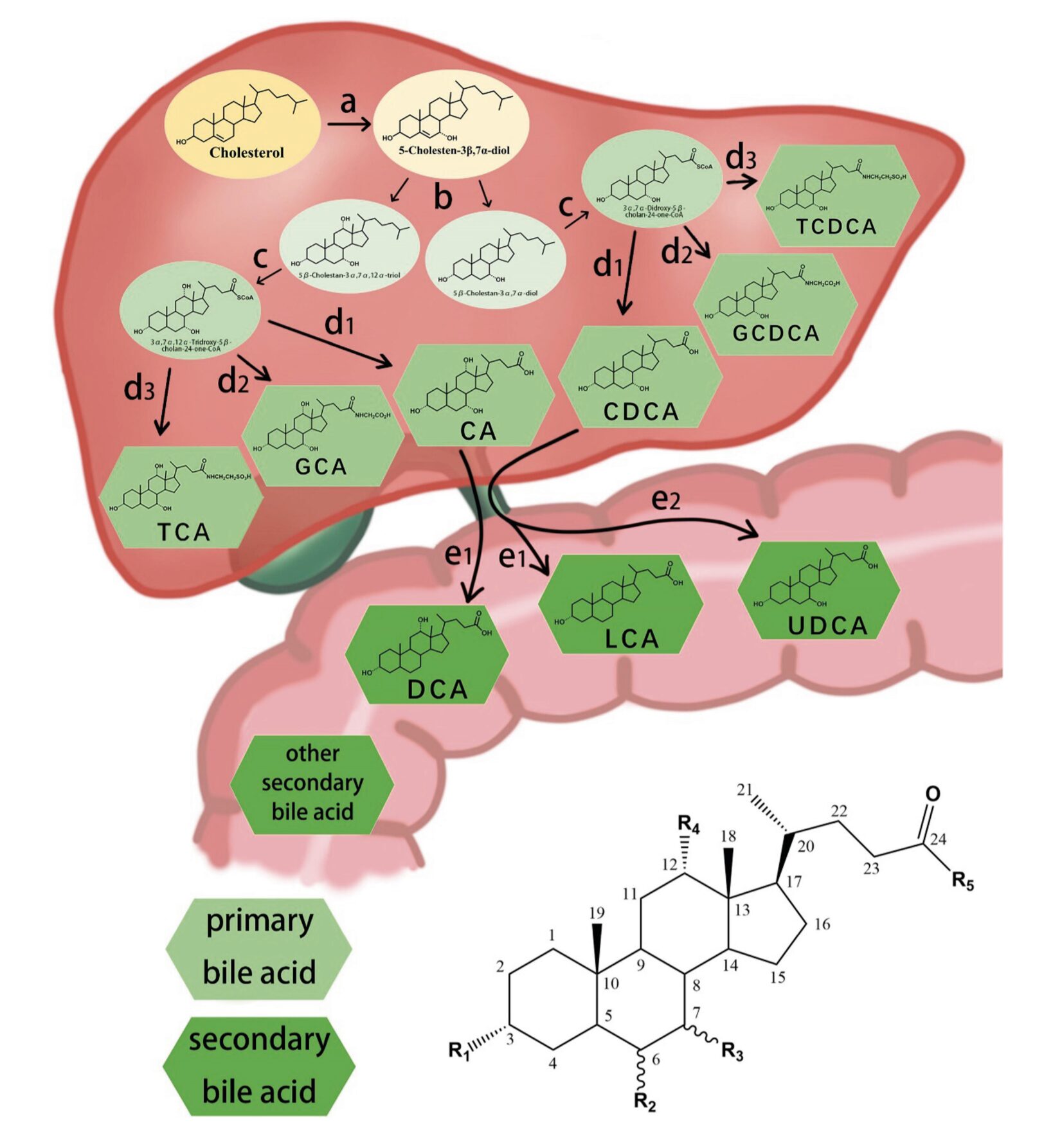 Scherm­afbeelding 2025 10 29 om 15.05.16