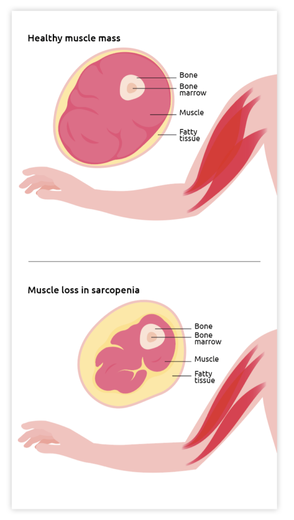 Scherm­afbeelding 2025 10 29 om 15.14.31