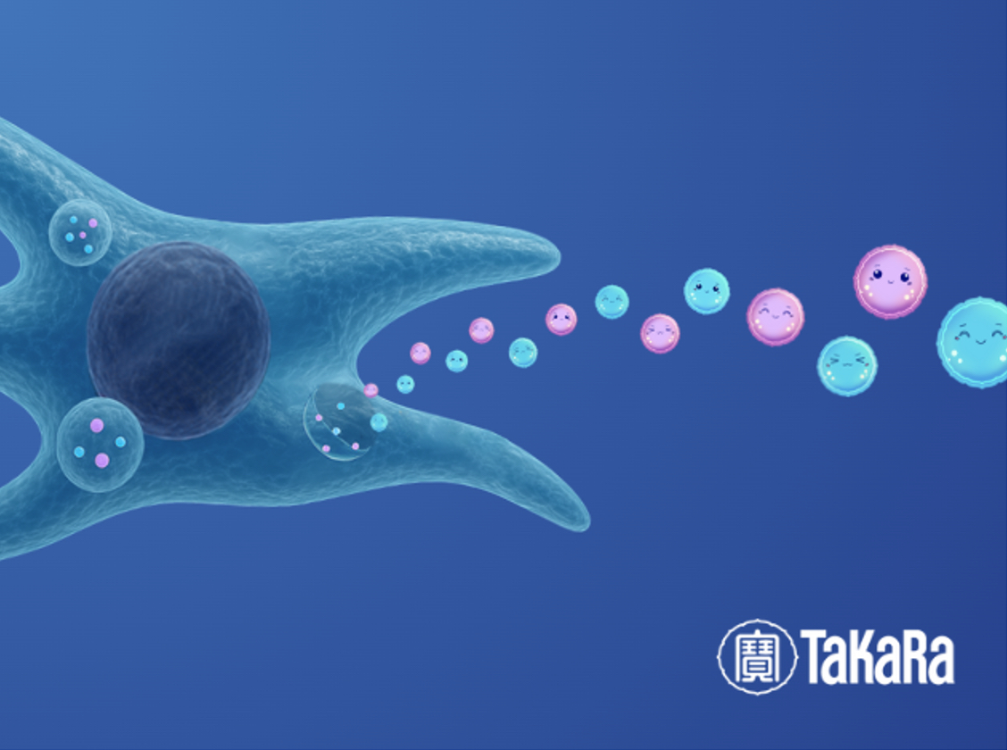 Screenshot takara bio