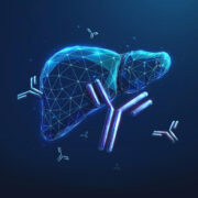 AdobeStock 1628206991 Omgezet e1762439956239