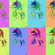 ProImmune unveils self-loading MHC Class I monomers for enhanced T cell research 9 Proimmune ProVE SL Monomer