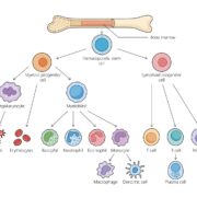 Scherm­afbeelding 2025 11 06 om 14.42.23