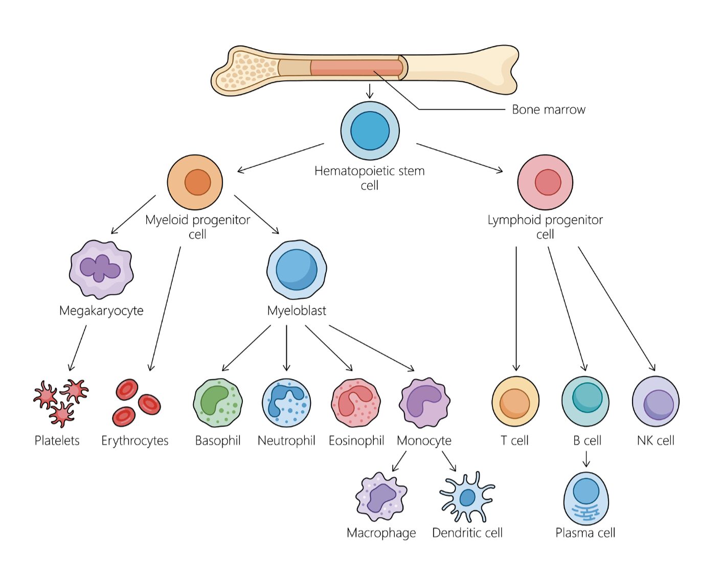 Scherm­afbeelding 2025 11 06 om 14.42.23
