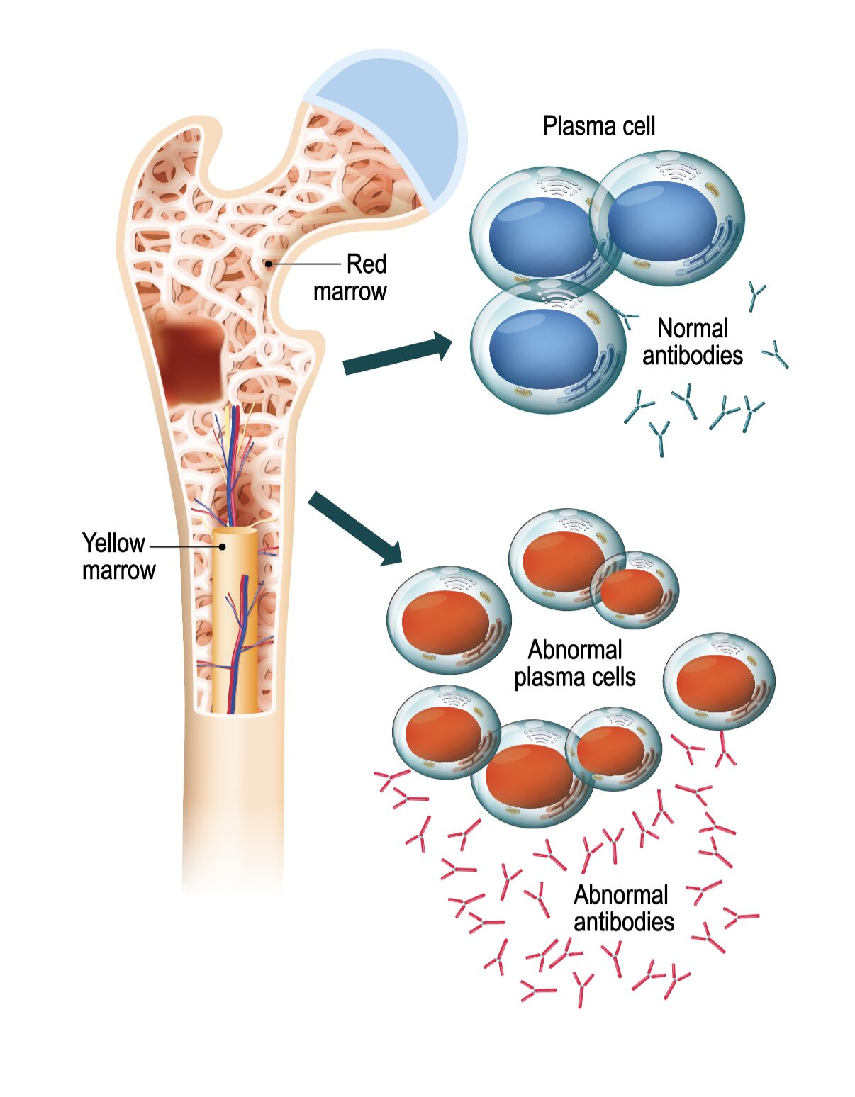 Scherm­afbeelding 2025 11 06 om 14.44.41