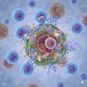 neogap tumour specific T cells