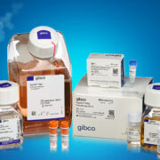 thermo fisher gibco 2