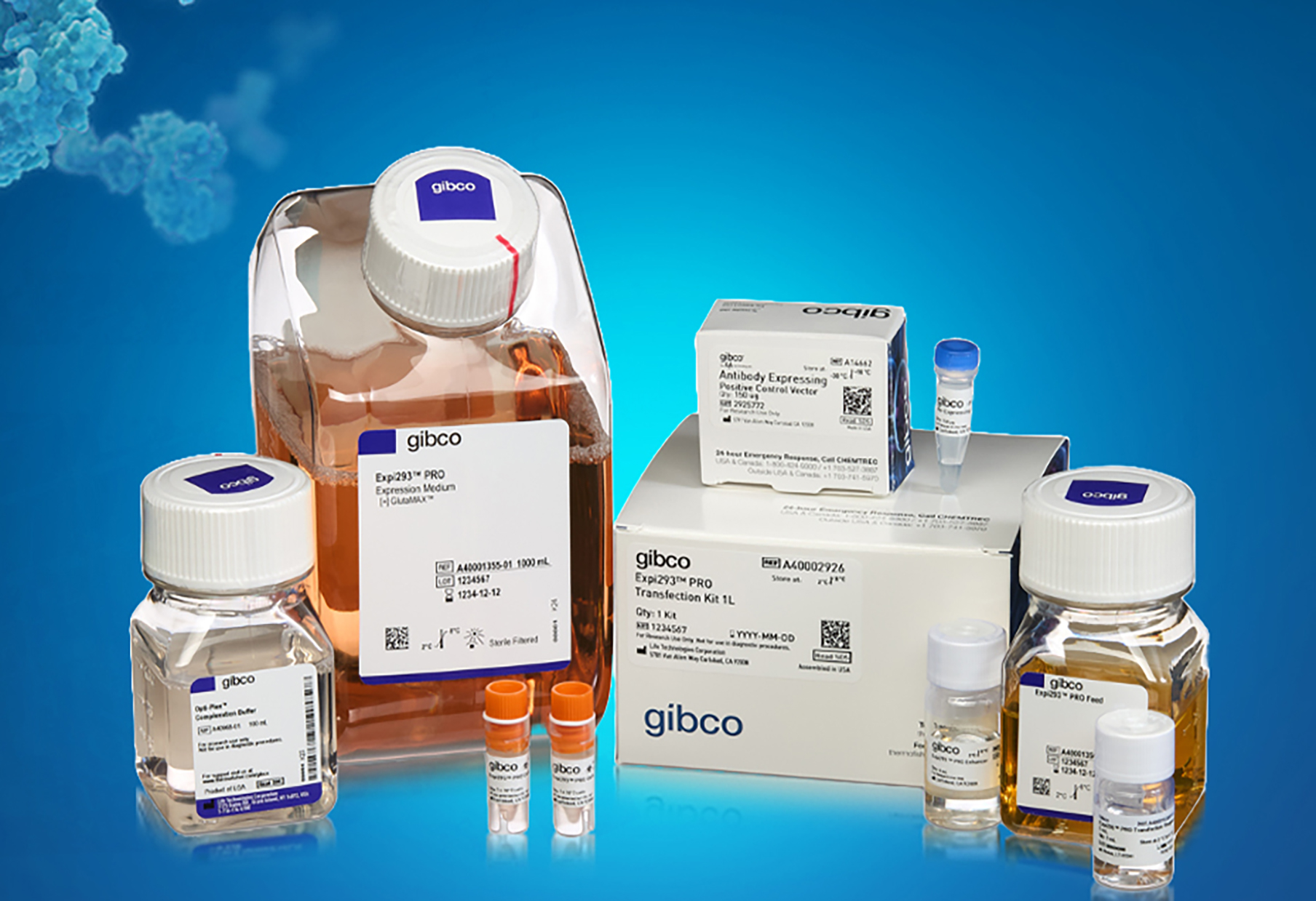 thermo-fisher-gibco_2 thermo fisher gibco 2