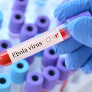 ProteoNic licenses vector technology for antibody manufacturing consortium 8 AdobeStock 1064663013