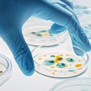 New test reveals which antibiotics actually kill bacteria 3 AdobeStock 330354724