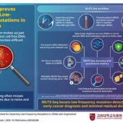 Korean researchers develop ultra-precise CRISPR technique that dramatically improves detection of rare cancer mutations 7 MUTE Seq