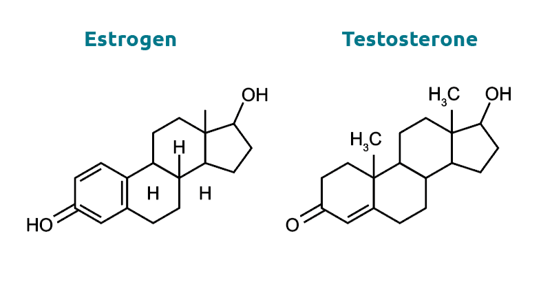 Measurement of steroid hormones