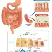 Scherm­afbeelding 2026 01 15 om 12.56.49