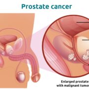 Scherm­afbeelding 2026 01 15 om 16.24.08