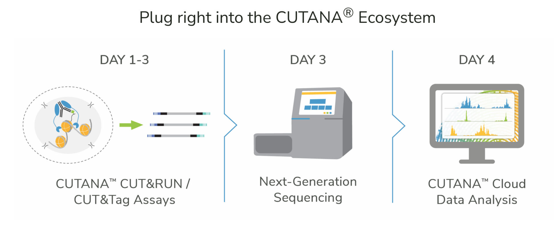 Screenshot epicycpher