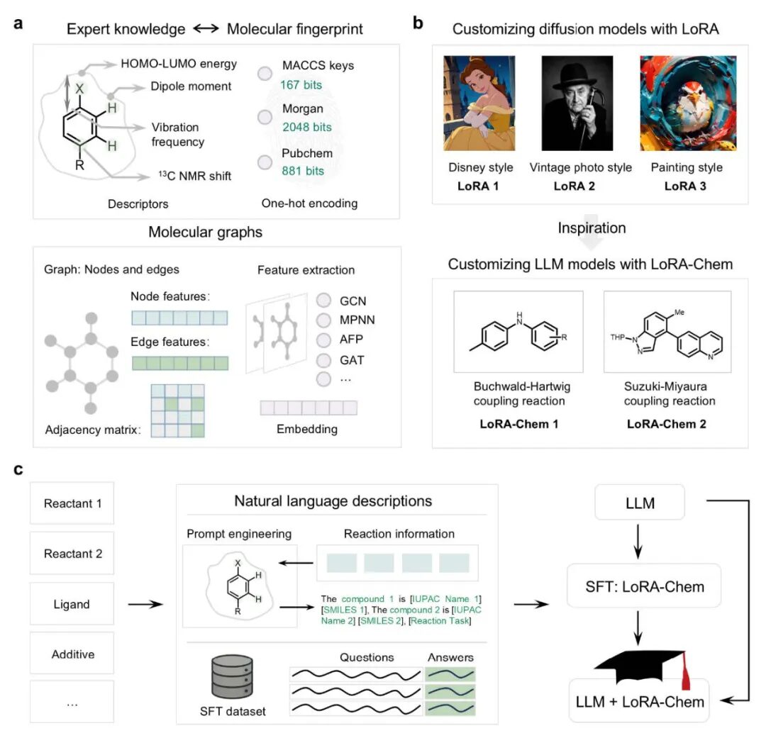 organic chemical reactions organic chemical reactions
